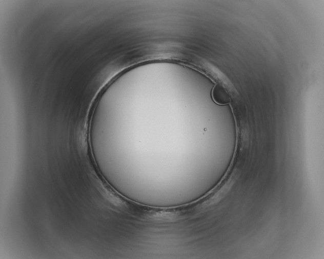 X0000111481178200907210942