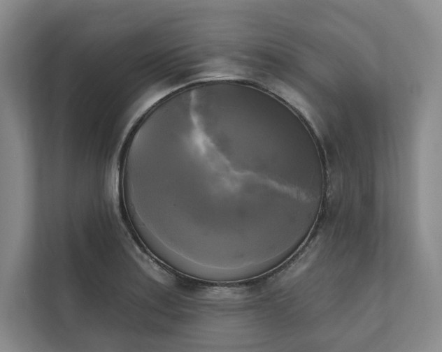 X0000111481179200907210942