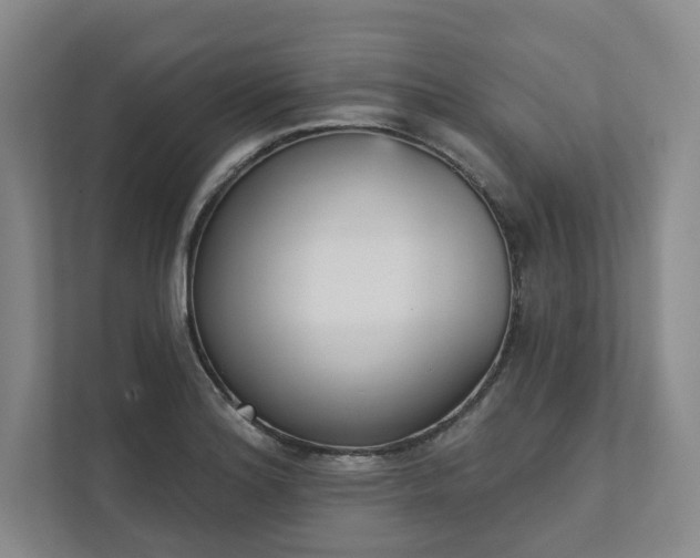 X0000111481180200907210942