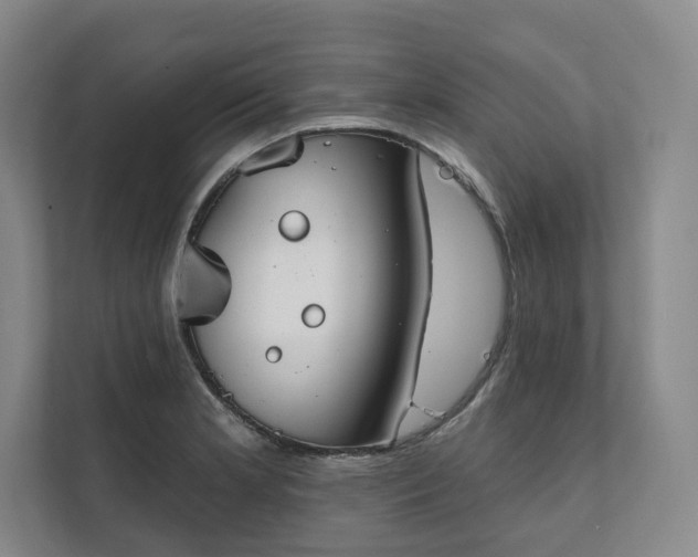 X0000111481181200907210942