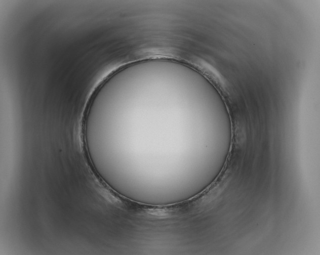 X0000111481182200907210942