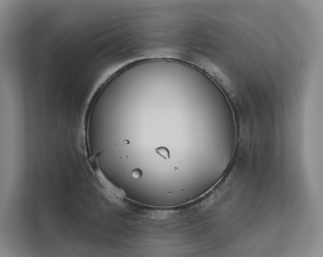 X0000111481184200907210942