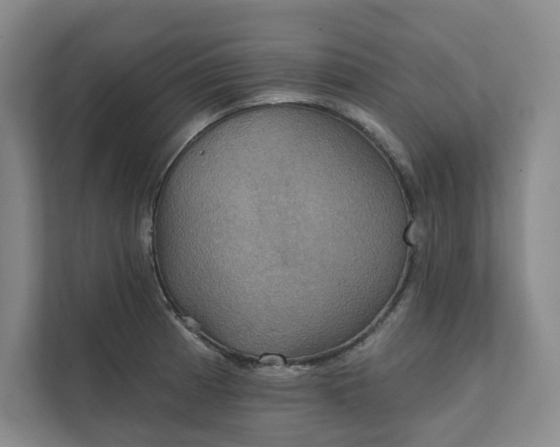 X0000111481185200907210942