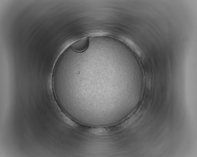 X0000111481186200907210942