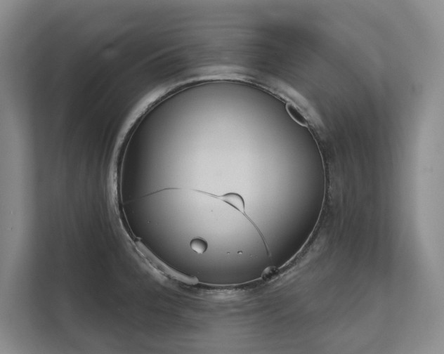 X0000111481188200907210942