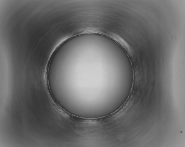 X0000111481190200907210942