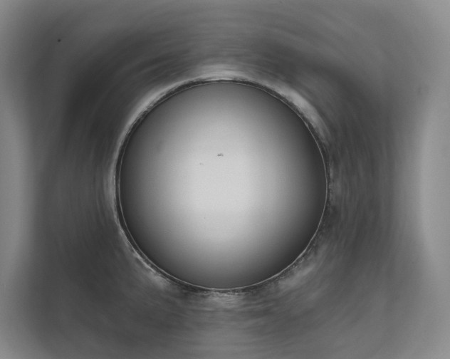 X0000111481191200907210942