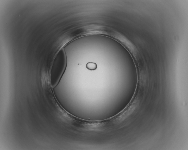 X0000111481193200907210942