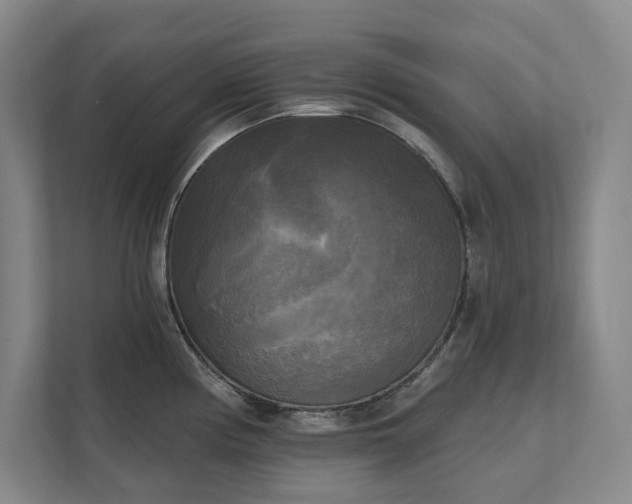 X0000111481194200907210942