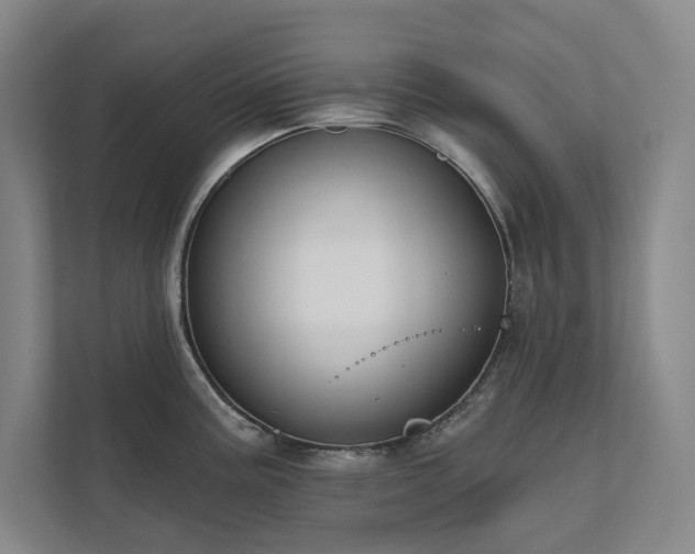 X0000111481195200907210942