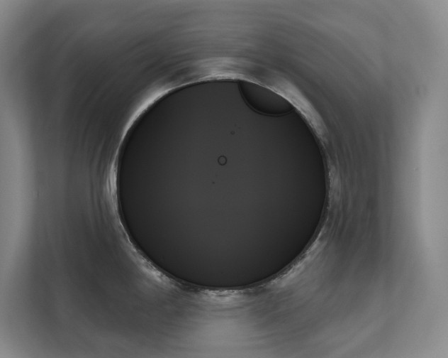 X0000111481198200907210942