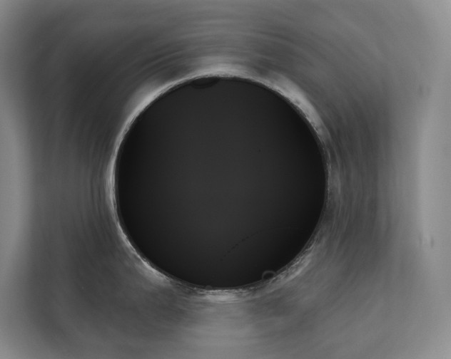 X0000111481199200907210942