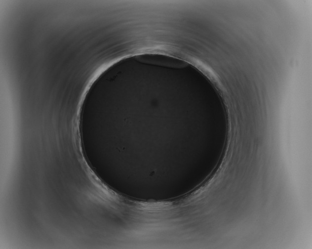 X0000111481200200907210942