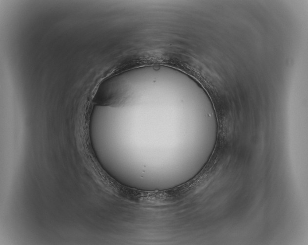 X0000111481201200907210941