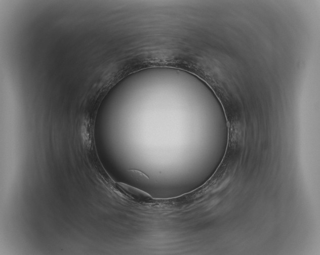 X0000111481202200907210941