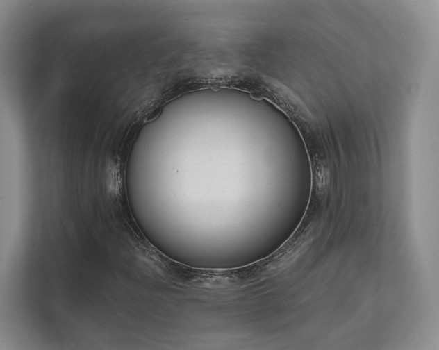 X0000111481204200907210941