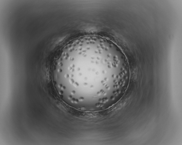 X0000111481205200907210942
