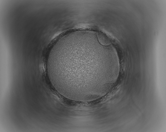 X0000111481206200907210942