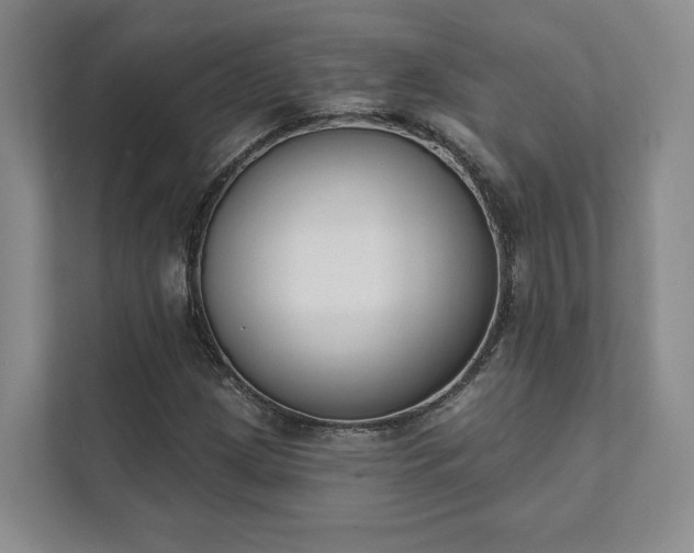X0000111481209200907210942