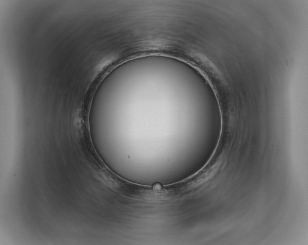 X0000111481210200907210942