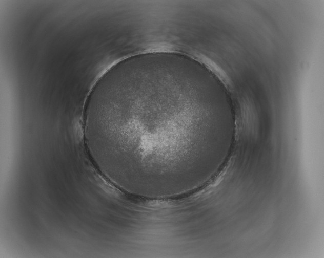 X0000111481212200907210942