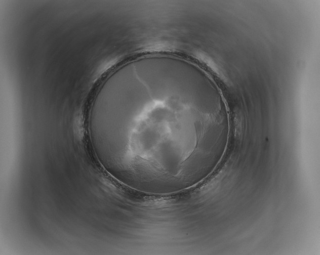 X0000111481213200907210942