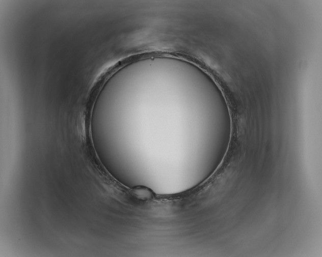 X0000111481214200907210942