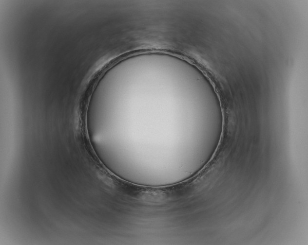 X0000111481215200907210942