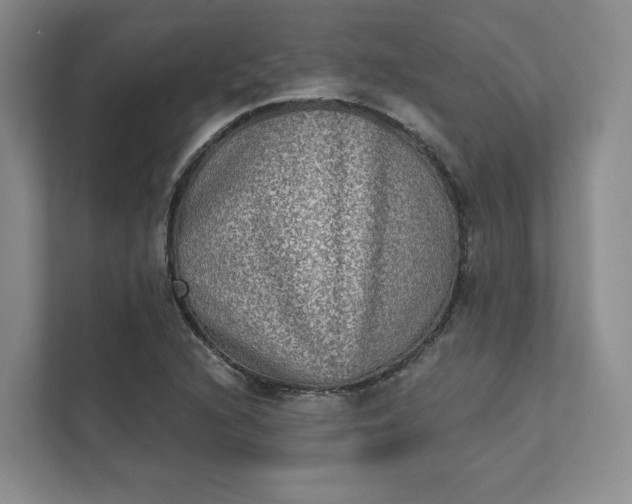 X0000111481216200907210942