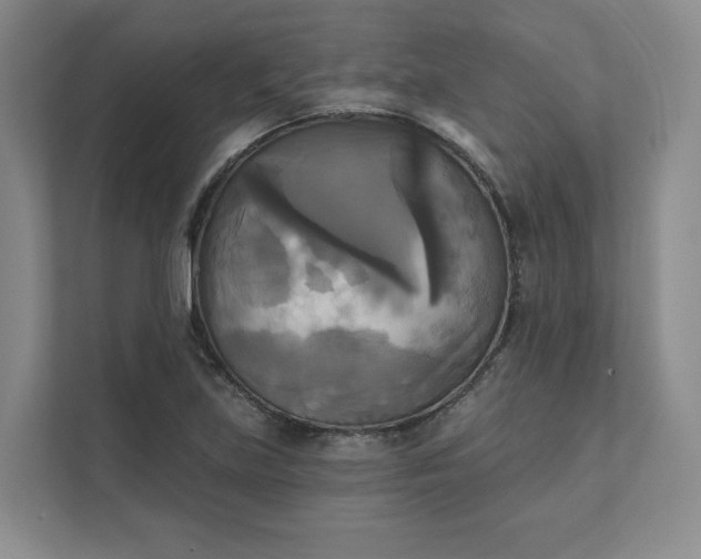X0000111481219200907210942