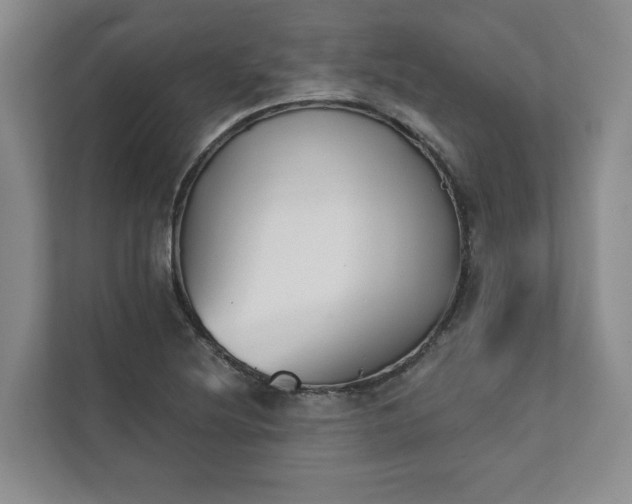X0000111481220200907210942