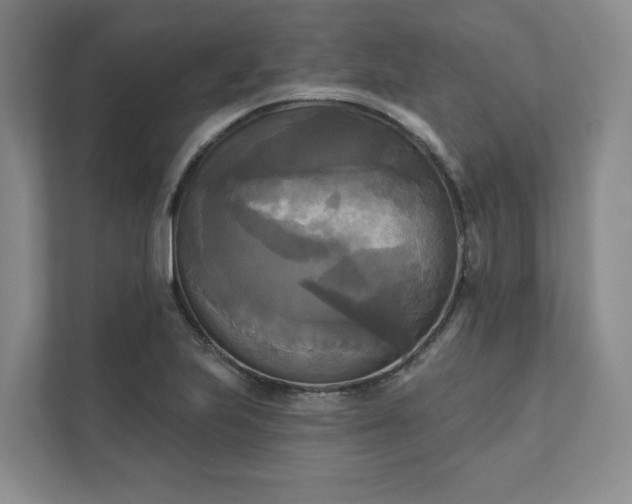 X0000111481223200907210942