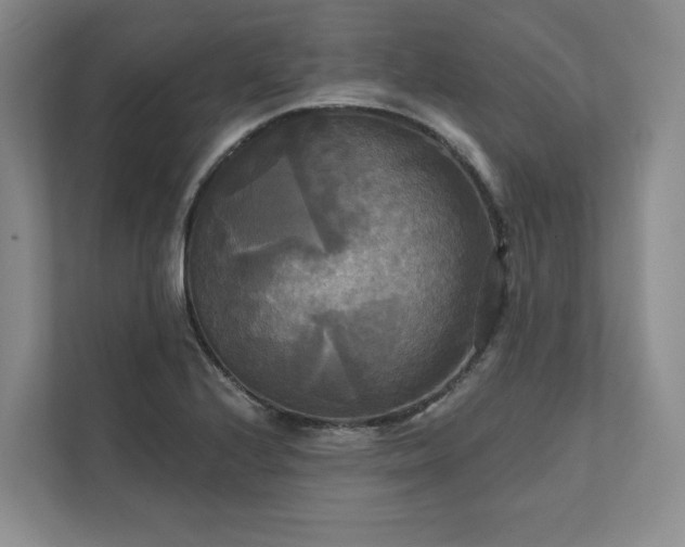 X0000111481224200907210942