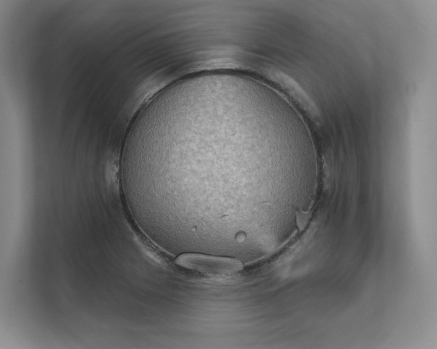 X0000111481225200907210942