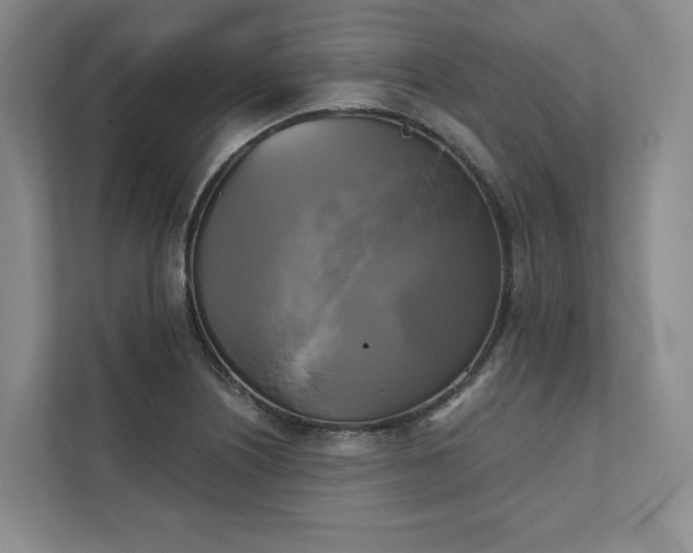 X0000111481226200907210942
