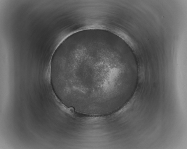 X0000111481228200907210942