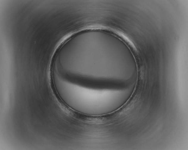 X0000111481229200907210942