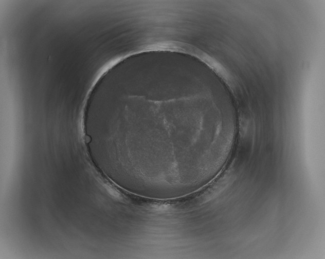 X0000111481230200907210942