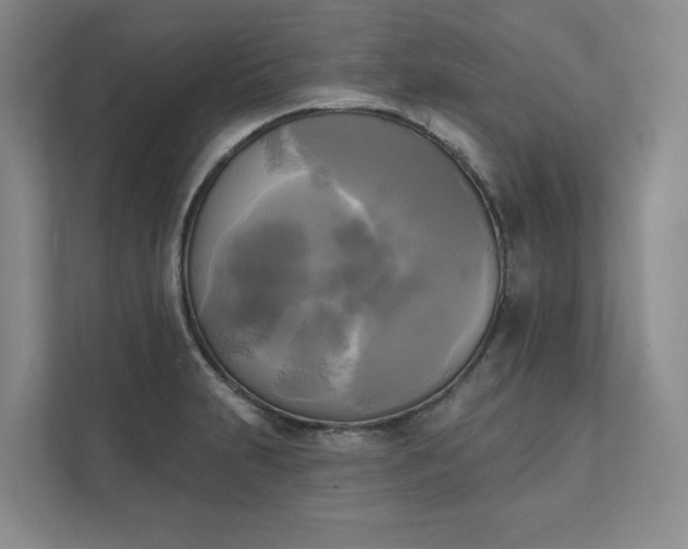 X0000111481231200907210942