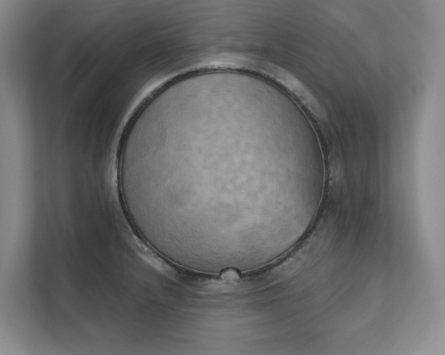 X0000111481232200907210942
