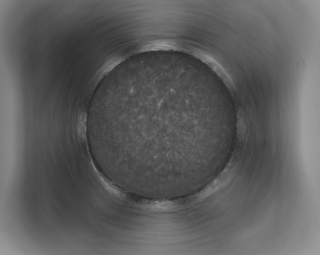 X0000111481233200907210942
