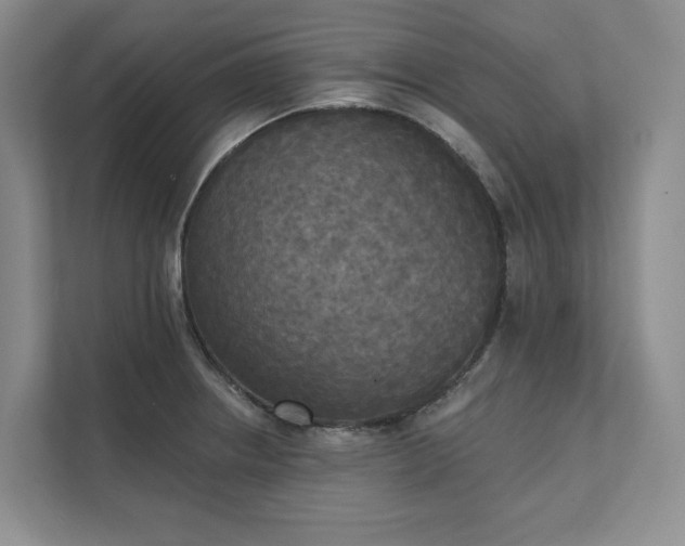X0000111481234200907210942