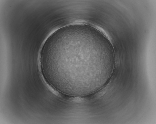 X0000111481235200907210942