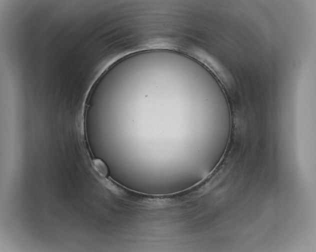 X0000111481236200907210942