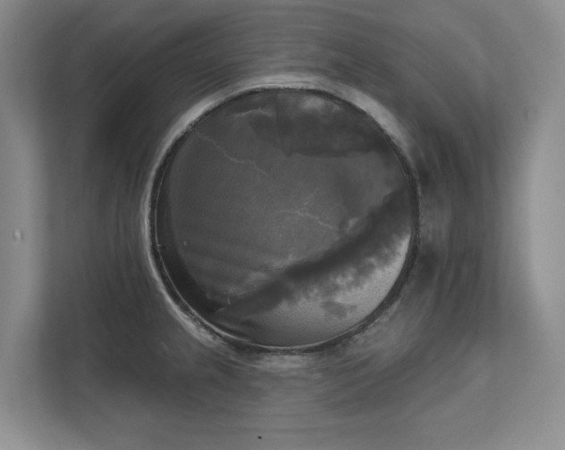 X0000111481237200907210942
