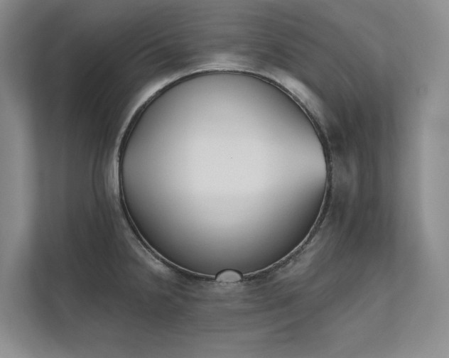 X0000111481238200907210942