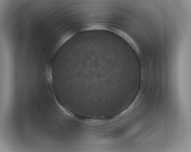 X0000111481241200907210942