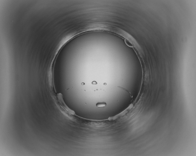 X0000111481242200907210942