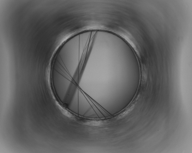 X0000111481245200907210942