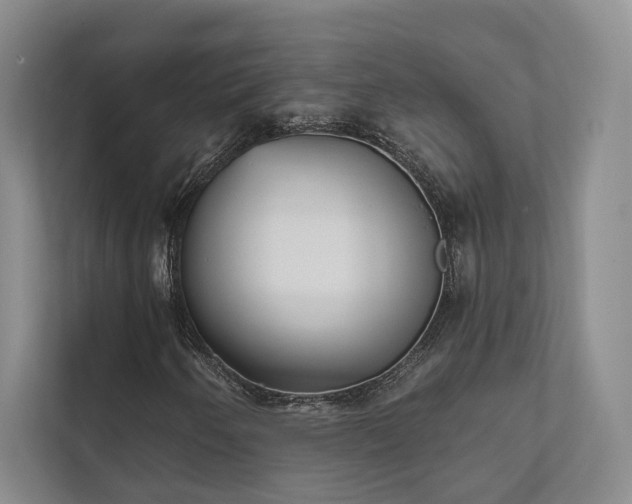 X0000111481250200907210941